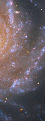 NGC 1232 closeup